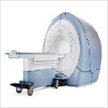 mri 사진