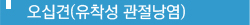 오십견
