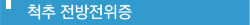 척추 전방전위증